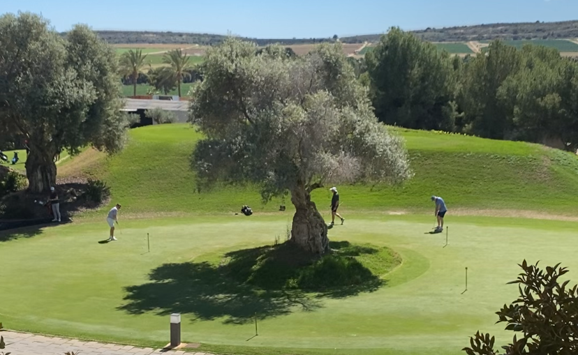 20250327_122859000_iOS-1 LA FINCA GOLF - UN MERCADO MUY RENTABLE.